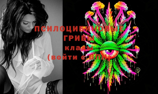 ГАЛЛЮЦИНОГЕННЫЕ ГРИБЫ Заволжск