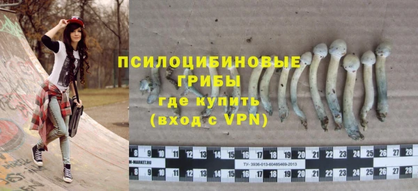 ГАЛЛЮЦИНОГЕННЫЕ ГРИБЫ Заволжск