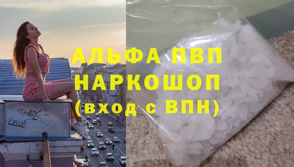 ГАЛЛЮЦИНОГЕННЫЕ ГРИБЫ Заволжск